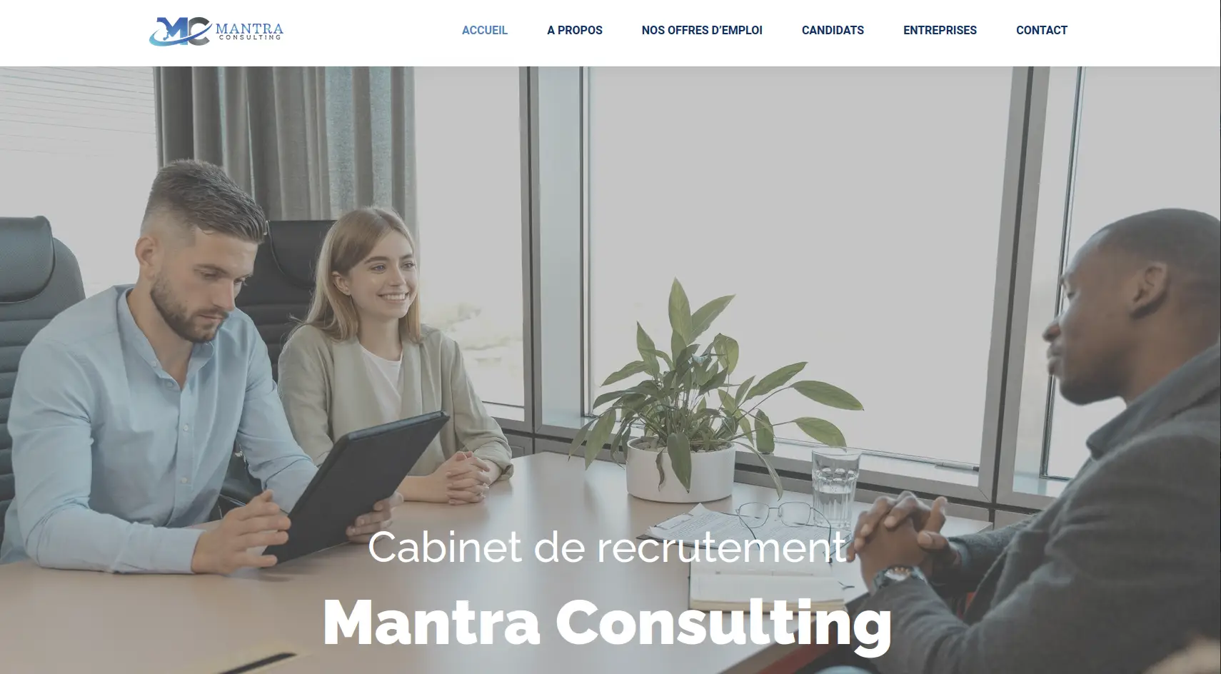 mantra consulting